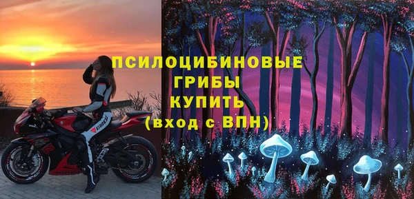 сатива Арсеньев