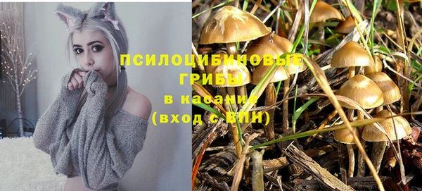 МДПВ Заводоуковск