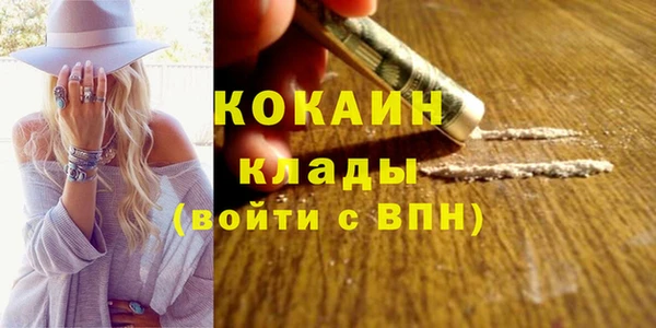 сатива Арсеньев