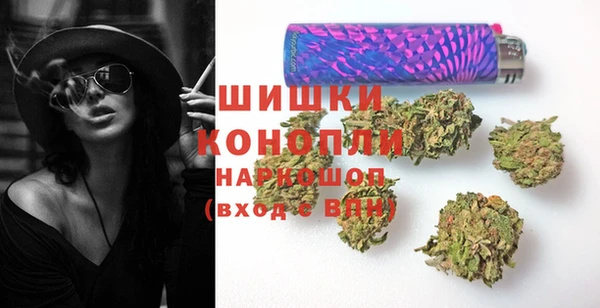 сатива Арсеньев